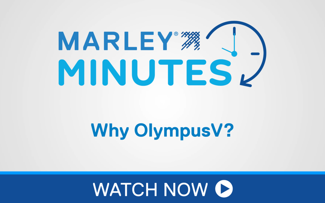 How Can OlympusV Support Your Operations?