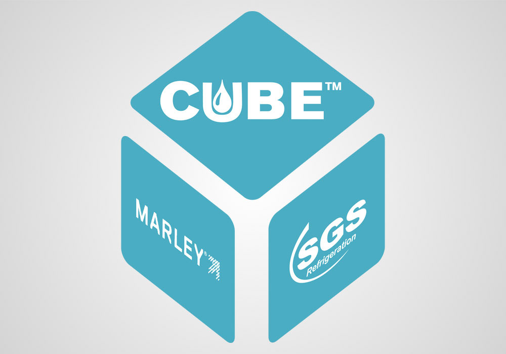 SGS Cube Logo